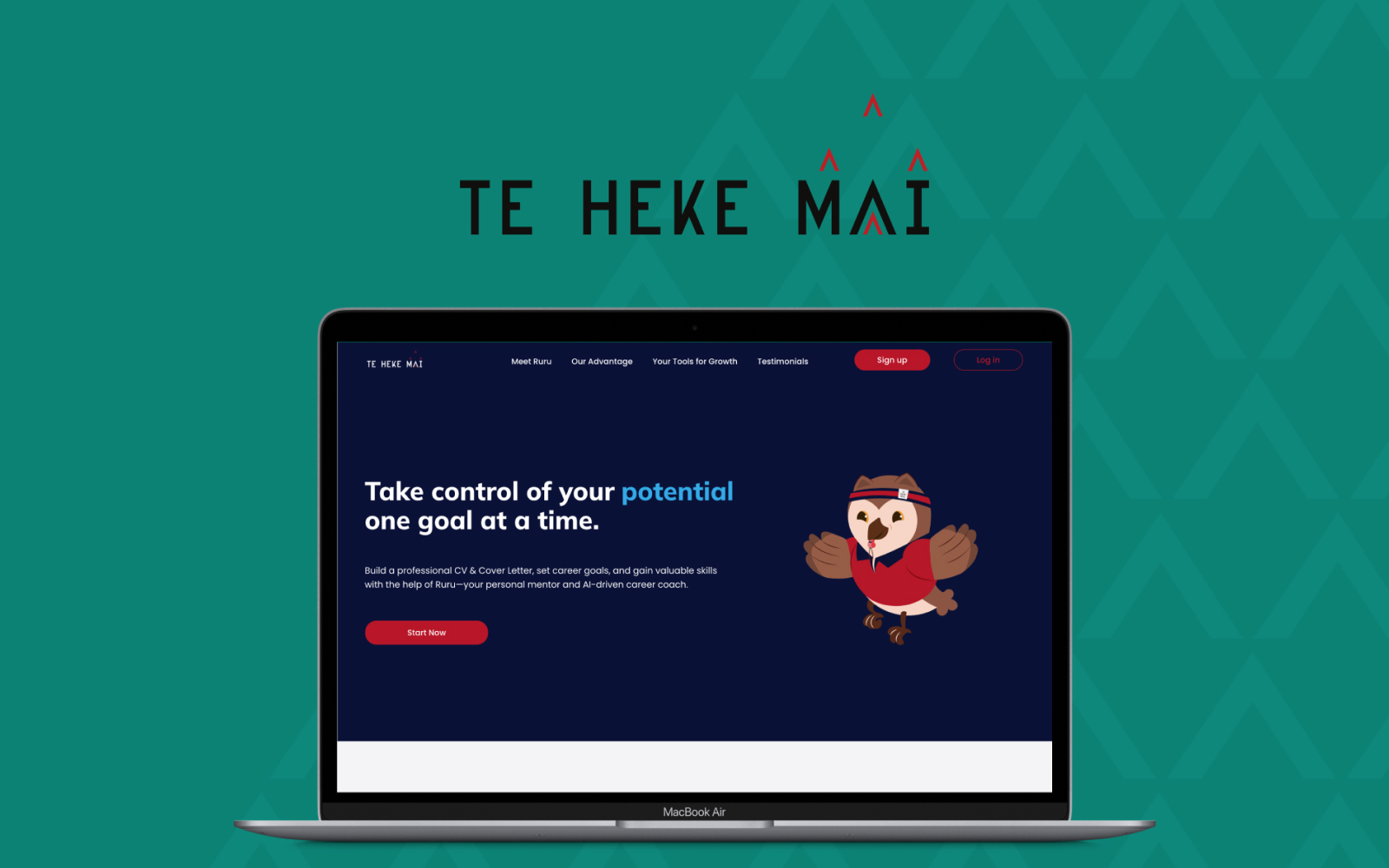Te Heke Mai — project cover